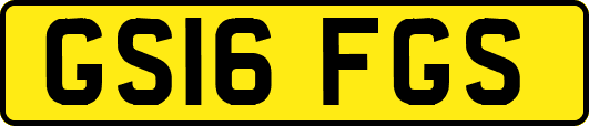 GS16FGS
