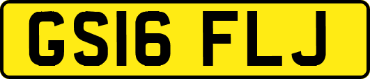GS16FLJ
