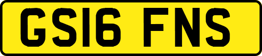 GS16FNS