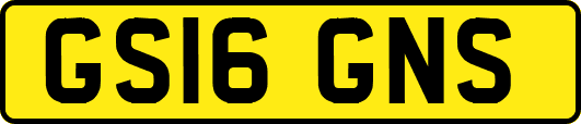 GS16GNS