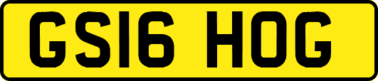 GS16HOG