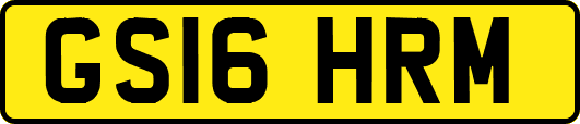 GS16HRM