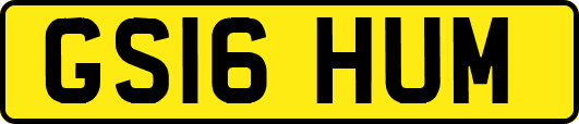 GS16HUM