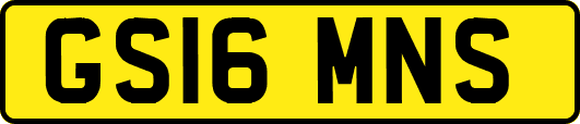 GS16MNS