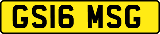 GS16MSG