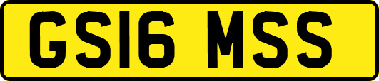 GS16MSS