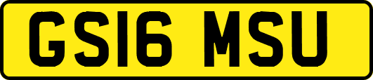 GS16MSU