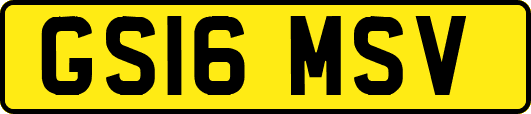 GS16MSV