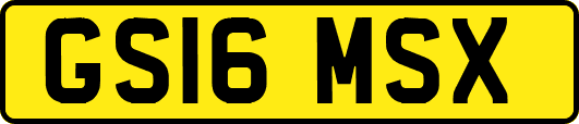 GS16MSX