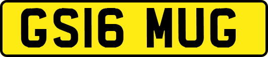 GS16MUG