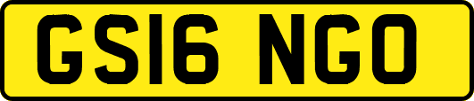 GS16NGO