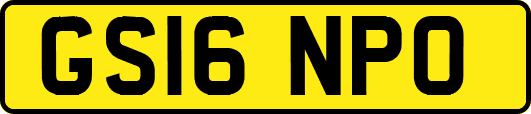 GS16NPO