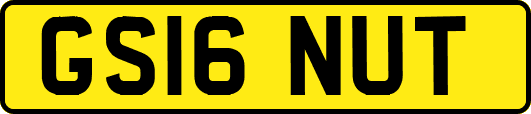 GS16NUT