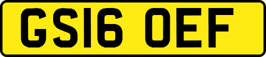 GS16OEF