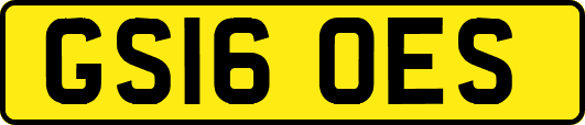 GS16OES