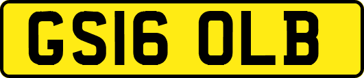 GS16OLB