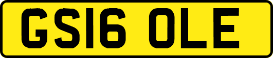 GS16OLE