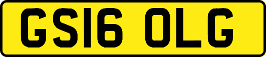 GS16OLG