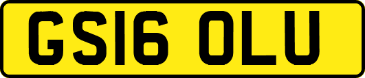 GS16OLU