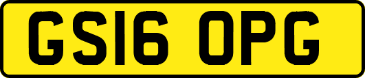 GS16OPG