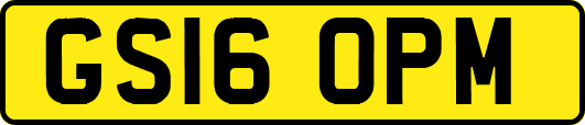 GS16OPM
