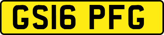 GS16PFG