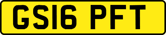 GS16PFT