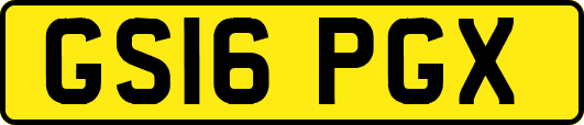 GS16PGX