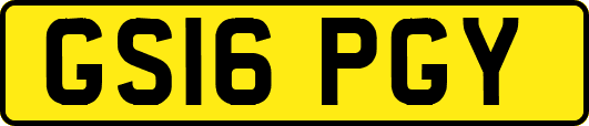 GS16PGY