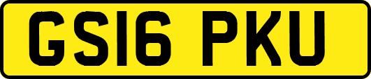 GS16PKU