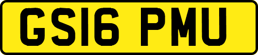 GS16PMU