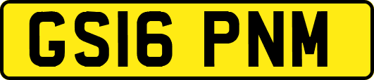 GS16PNM