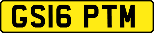 GS16PTM