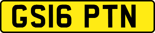 GS16PTN