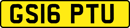 GS16PTU