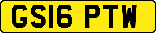 GS16PTW