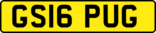 GS16PUG