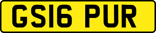 GS16PUR