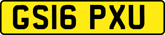GS16PXU