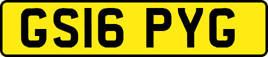 GS16PYG