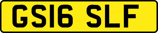 GS16SLF