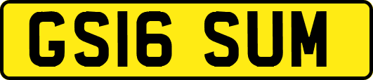 GS16SUM