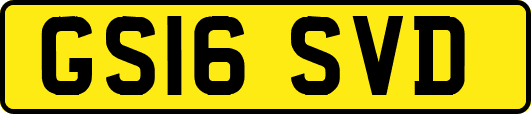 GS16SVD