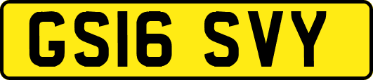 GS16SVY