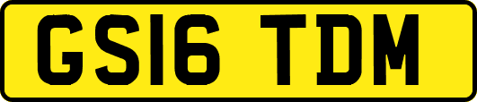 GS16TDM