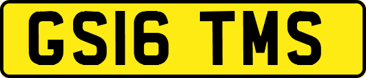GS16TMS