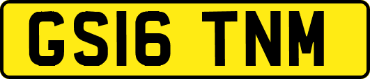 GS16TNM