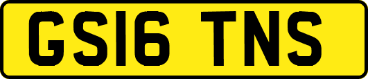 GS16TNS