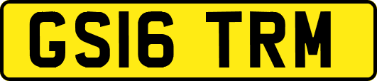 GS16TRM