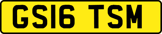 GS16TSM